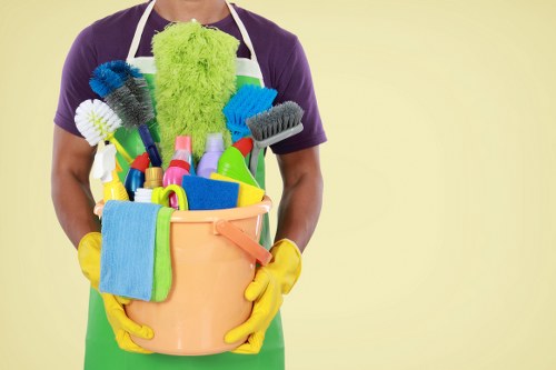 Professional cleaners working in a SW11 home environment