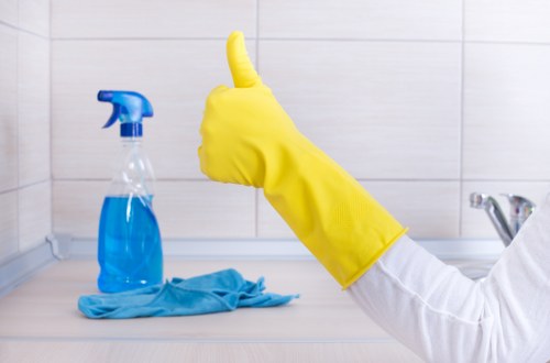 Local domestic cleaner supporting SW11 homes