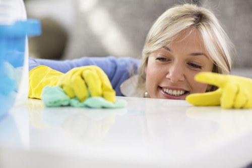 Local pet stain odour removal service for a Battersea flat