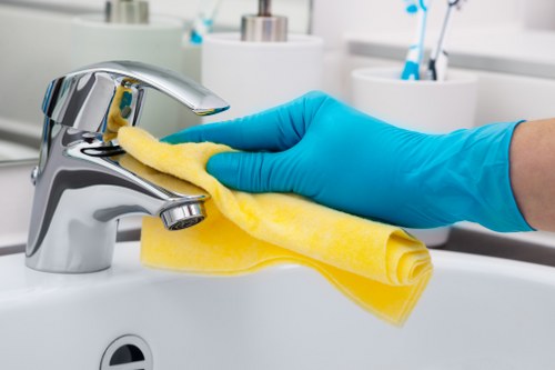 SSL encryption symbol for Cleaners SW11 online payments