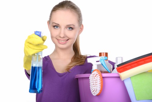 Professional cleaning service supporting a fresh and organised home