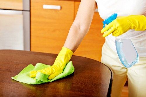 Oven cleaning specialist in SW11 polishing glass and metal surfaces